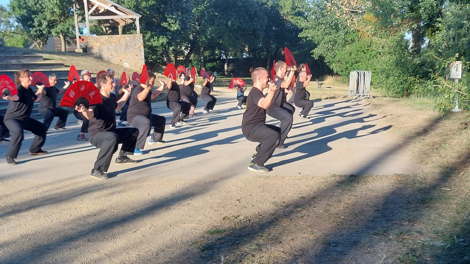 Cours de Qi Gong en extérieur !
