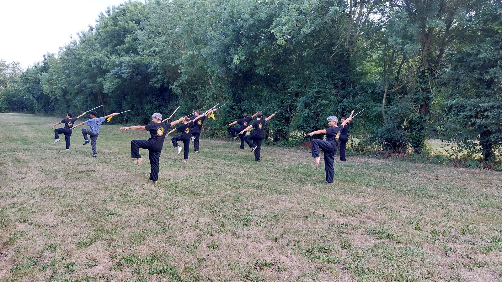 Cours de Qi Gong et Kung Fu en plein air