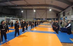 Les Arts Martiaux Sino Vietnamiens seront mis à l’honneur !