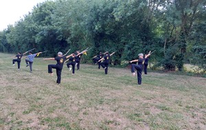 Cours de Qi Gong et Kung Fu en plein air