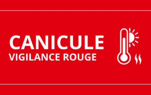 Les cours de ce soir sont annulés !
