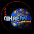 Cuu Long Vo Dao Ancenis