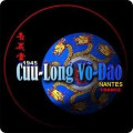 Cuu Long Vo Dao Nantes