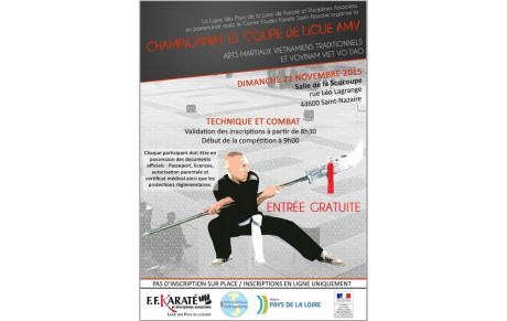 Coupe de La Ligue AMV le 22 novembre 2015