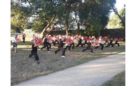 Cours de Qi Gong et de Kung Fu en extérieur