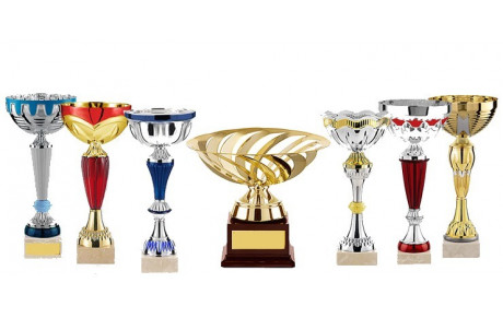 2ème Coupe de l'école Cuu Long Vo Dao