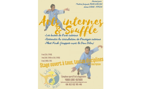 Stage d’arts internes avec Maître Jacques TRAN VAN BA 
