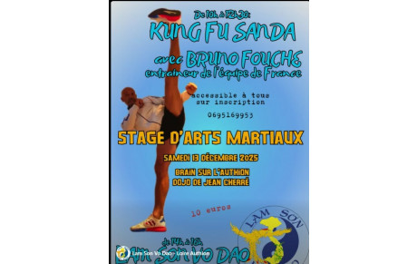 Stage de Kung Fu Sanda &amp; Techniques du Tigre de l'école Lam Son Võ Dao