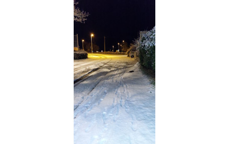 Les cours sont annulés !