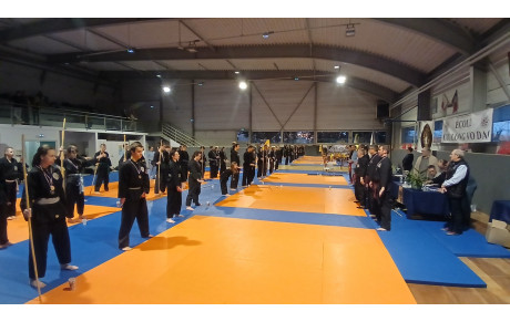 Les Arts Martiaux Sino Vietnamiens seront mis à l’honneur !