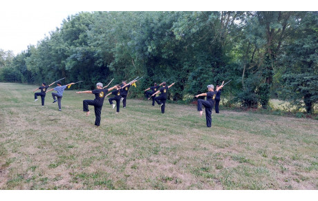 Cours de Qi Gong et Kung Fu en plein air